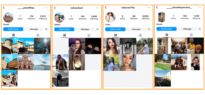 Followers Profiles