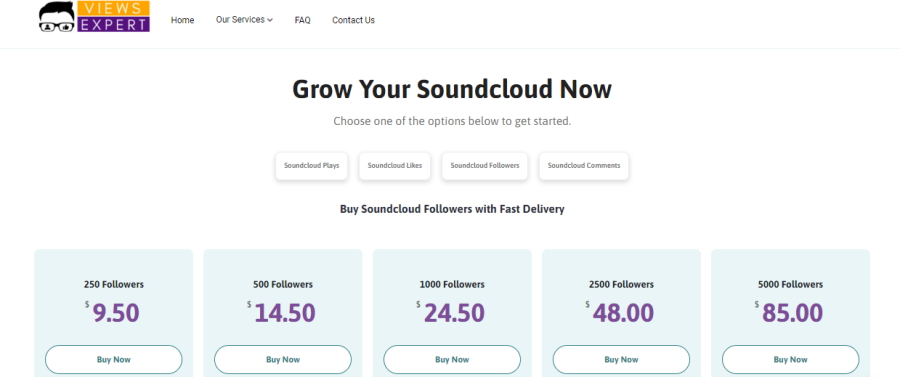 ViewsExpert Buy SoundCloud Followers