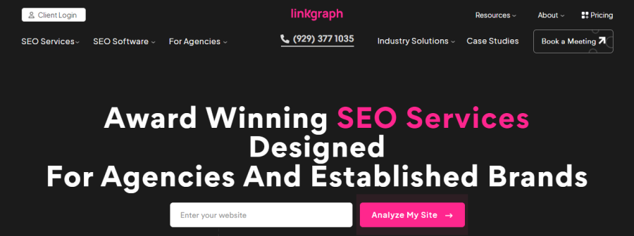 LinkGraph Saas Linking Agency